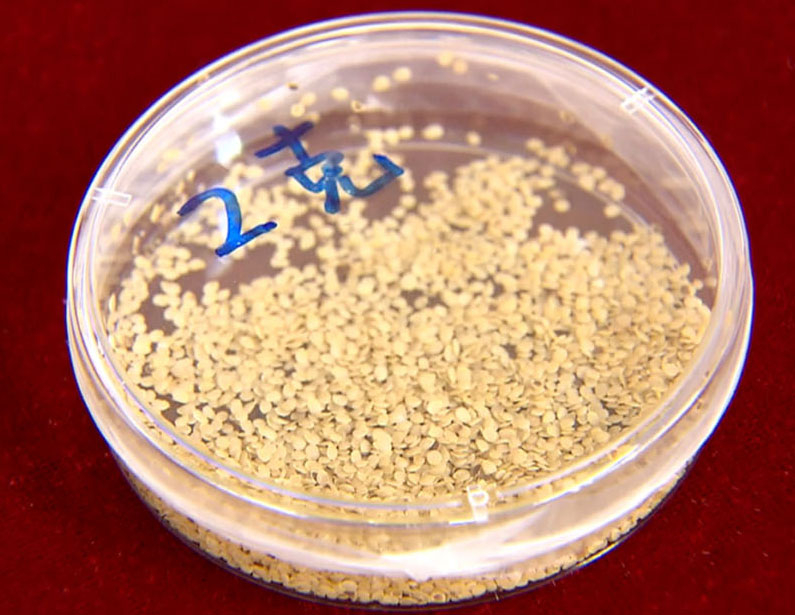 “十四五”时期，我国将建设500个左右国际贸易高质量发展基地